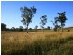 Tansey QLD 4601