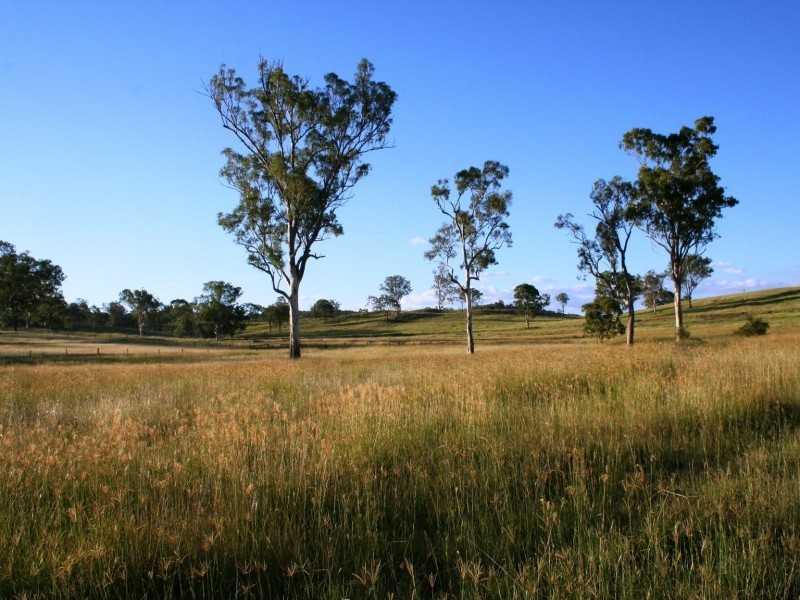 Tansey QLD 4601