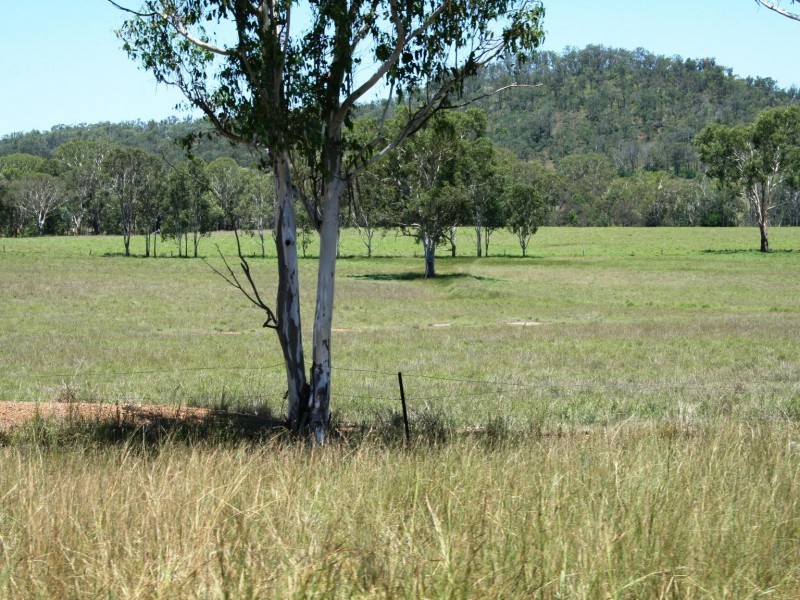 Tansey QLD 4601