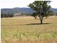 Tansey QLD 4601