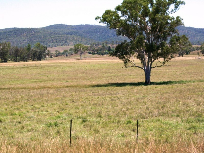 Tansey QLD 4601