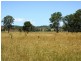 Tansey QLD 4601