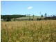 Tansey QLD 4601
