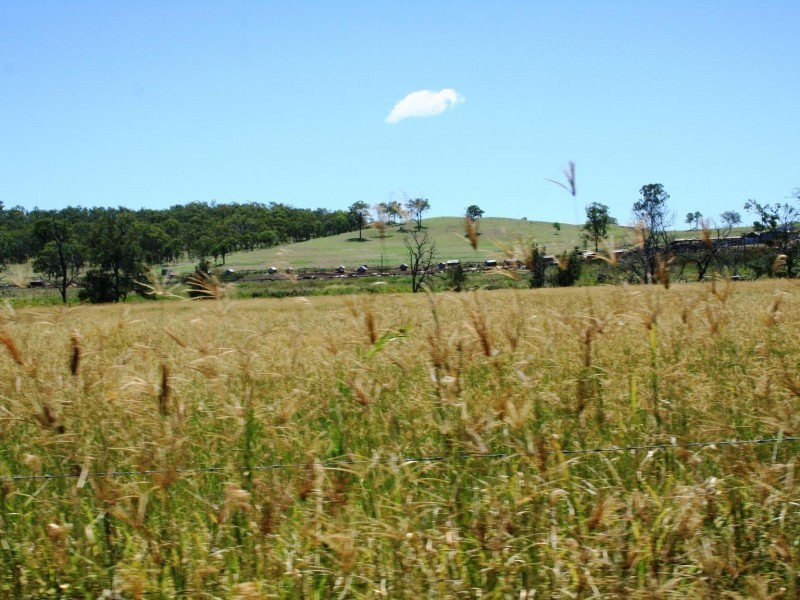 Tansey QLD 4601