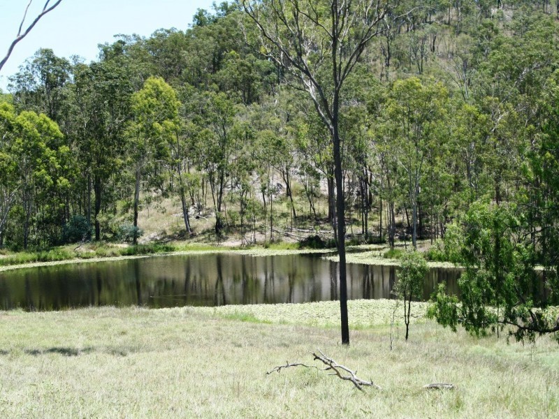 Tansey QLD 4601