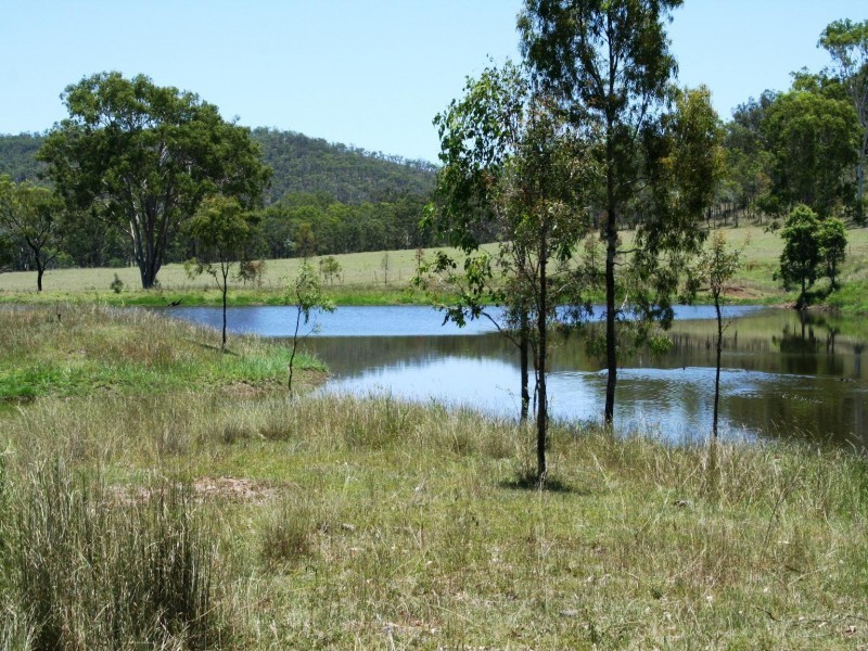 Tansey QLD 4601