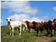 Gin Gin QLD 4671