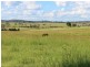 338 Abel Road, Lower Wonga QLD 4570