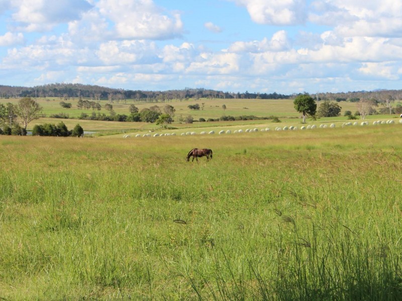 338 Abel Road, Lower Wonga QLD 4570