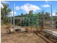 Tansey QLD 4601