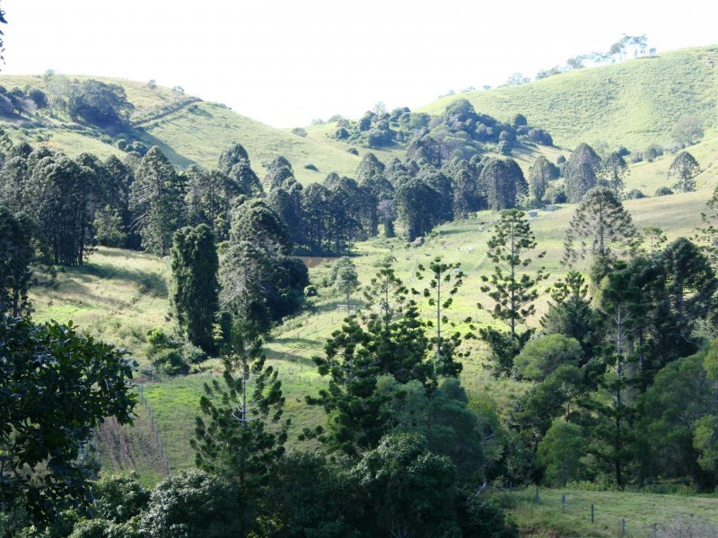 Mooloo QLD 4570