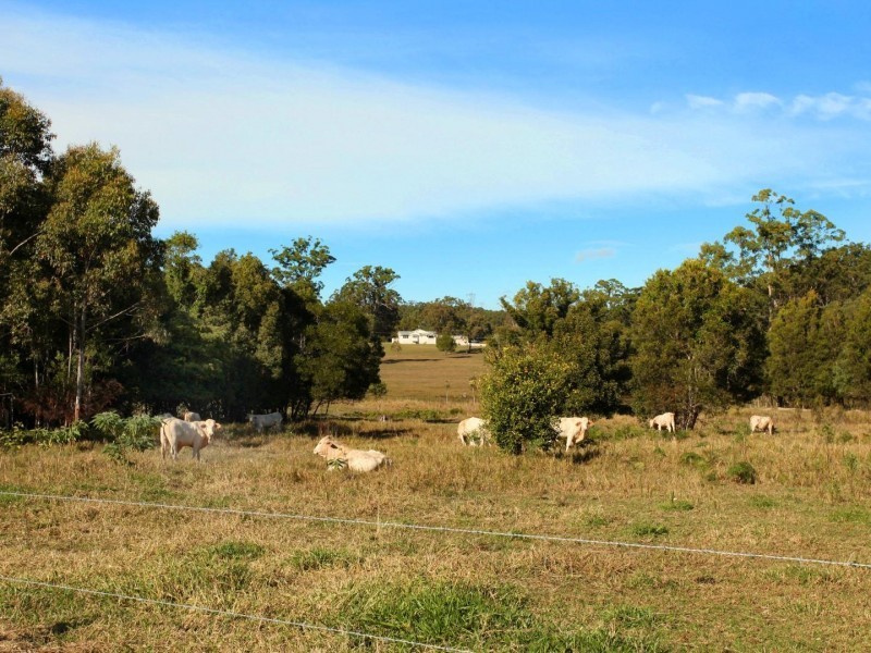 306 Louis Bazzo Drive, Pomona QLD 4568