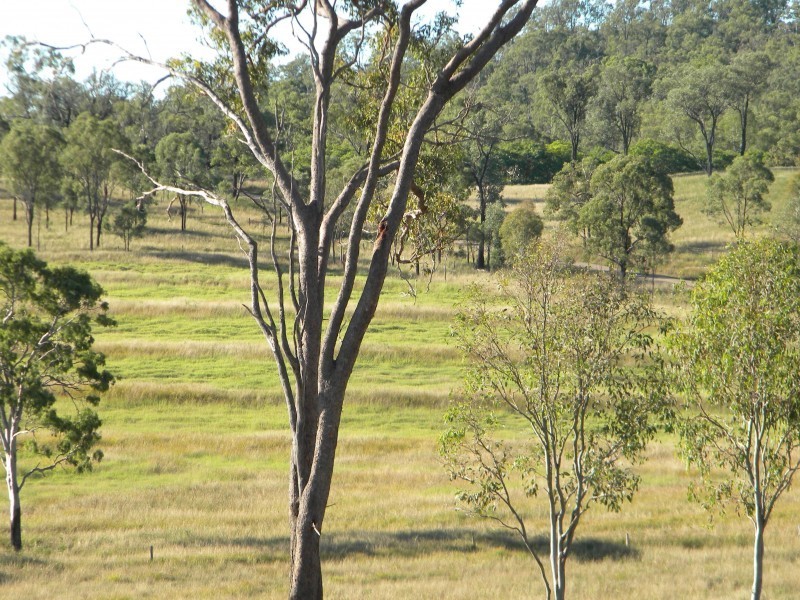 204 Mount Olive Rd, Kilkivan QLD 4600