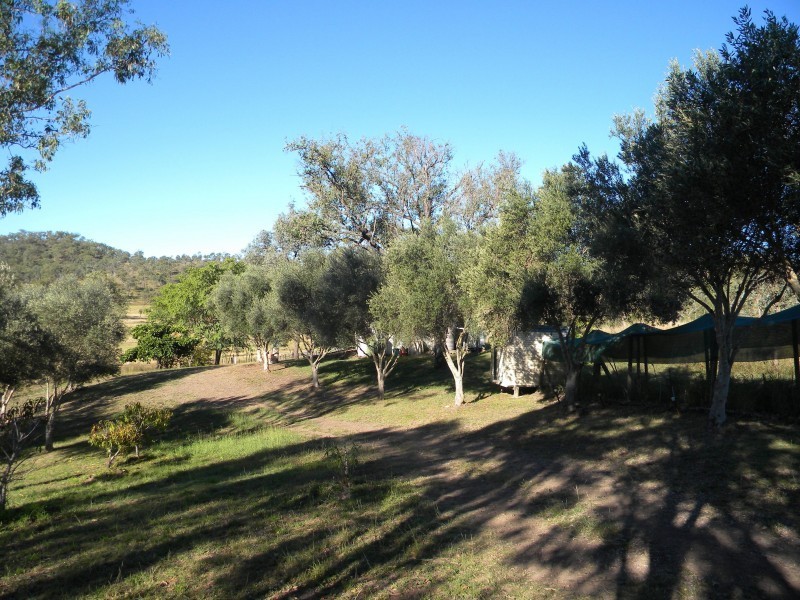 204 Mount Olive Rd, Kilkivan QLD 4600