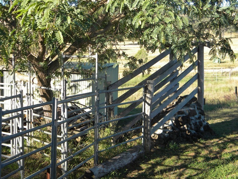 204 Mount Olive Rd, Kilkivan QLD 4600