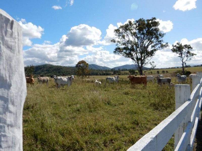 95 Homestead Road, Woolooga QLD 4570