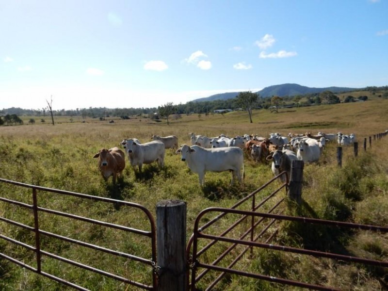 95 Homestead Road, Woolooga QLD 4570