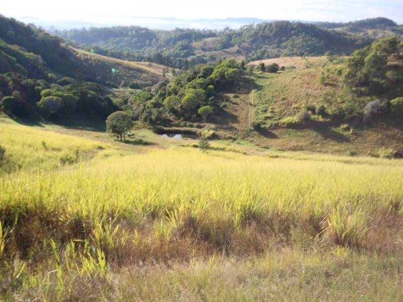 885 Glastonbury Road, Glastonbury QLD 4570