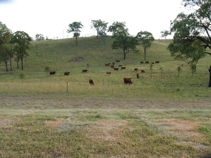 456 Booinbah Road, Tansey QLD 4601