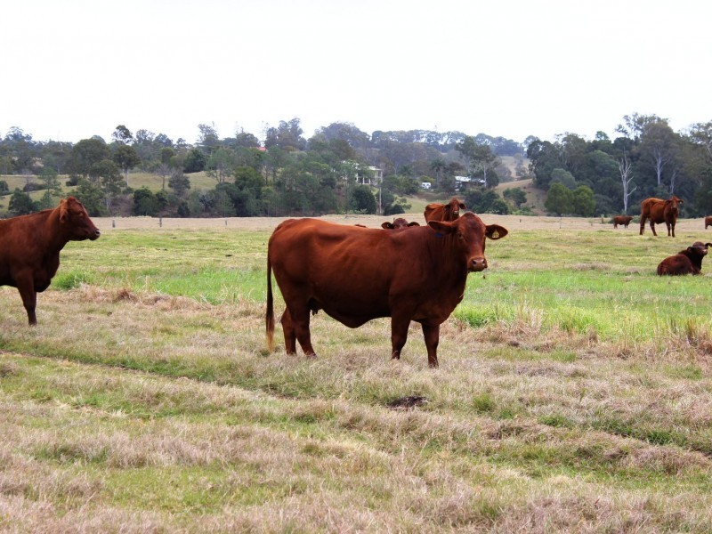 87 Mulally Road, Kybong QLD 4570