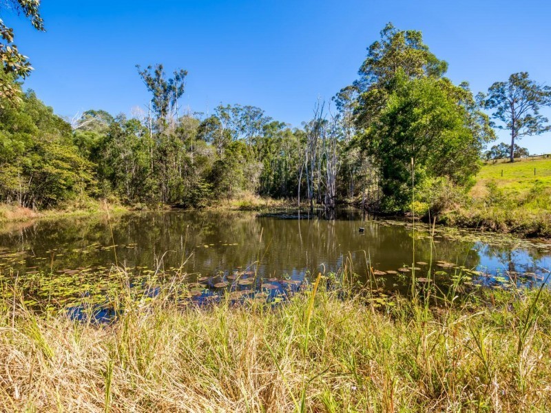 51 Riley Road, Traveston QLD 4570