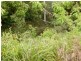 242 Gardner Road, North Deep Creek QLD 4570