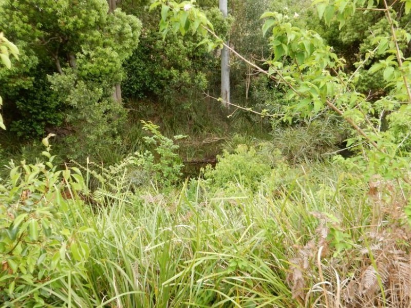 242 Gardner Road, North Deep Creek QLD 4570