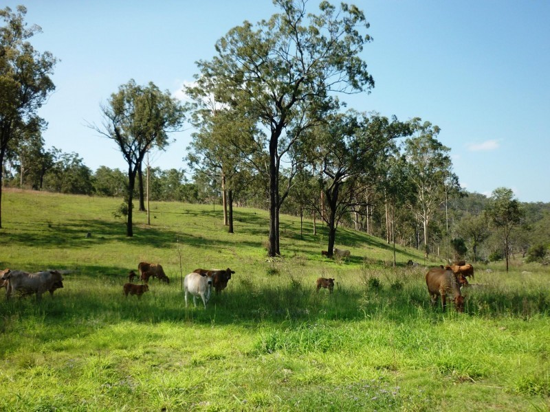 Mount Perry QLD 4671