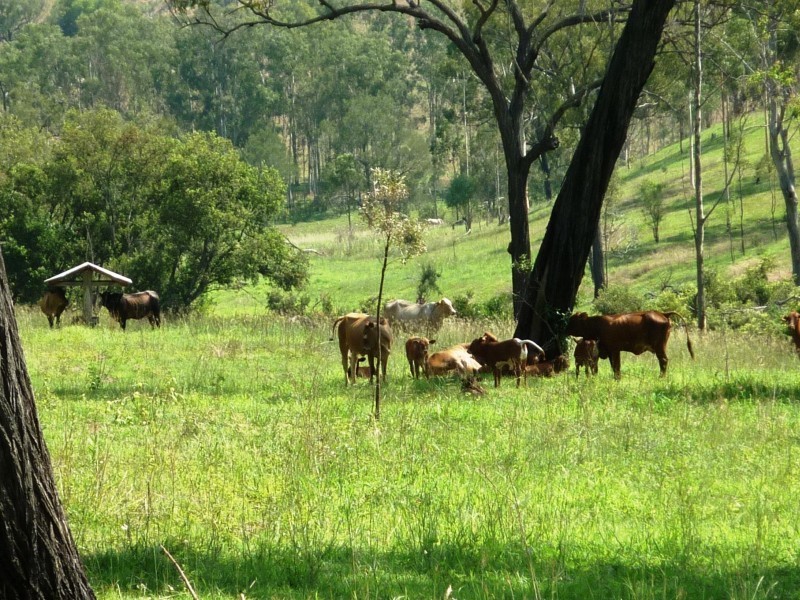 Mount Perry QLD 4671