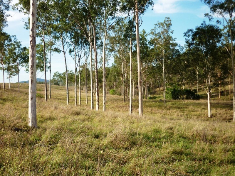 Mount Perry QLD 4671