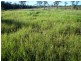 Golden Fleece QLD 4621