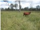 Golden Fleece QLD 4621