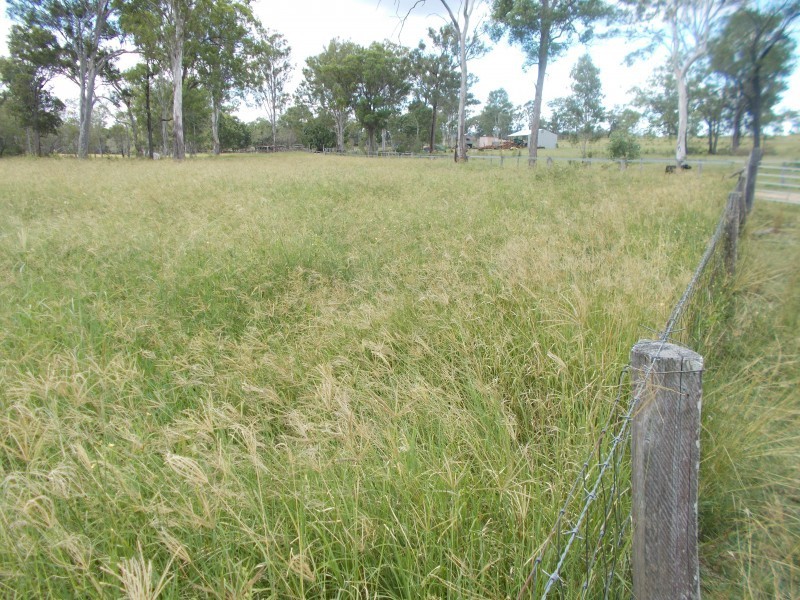 Golden Fleece QLD 4621