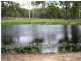 Golden Fleece QLD 4621