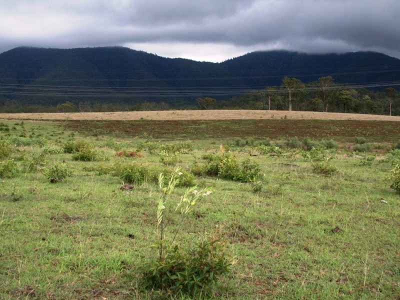 Golden Fleece QLD 4621