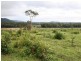 Golden Fleece QLD 4621