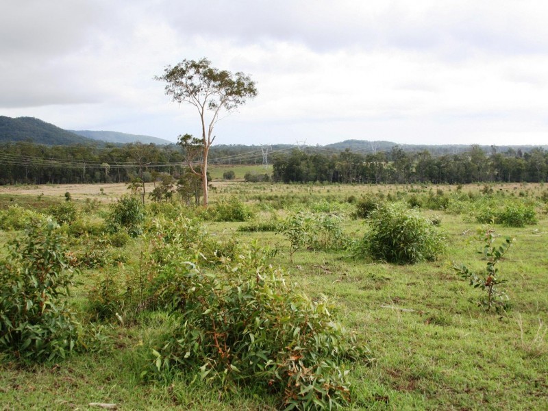 Golden Fleece QLD 4621