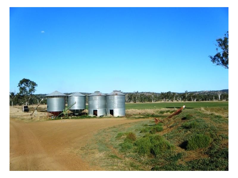 Windera QLD 4605