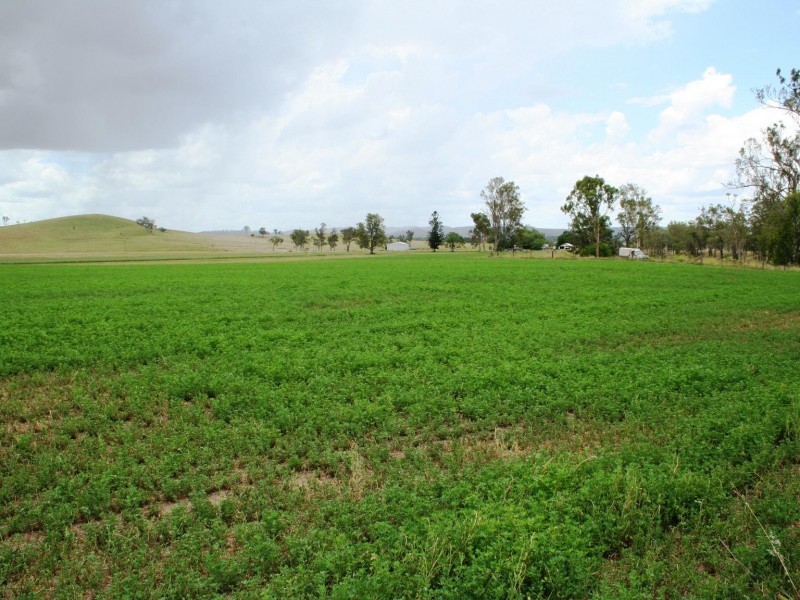 Cinnabar QLD 4600