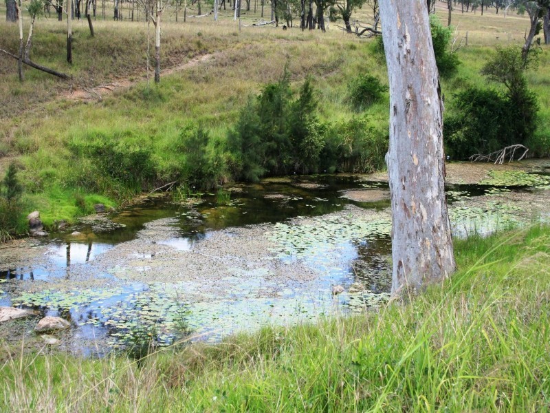 Cinnabar QLD 4600