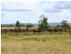 Cinnabar QLD 4600