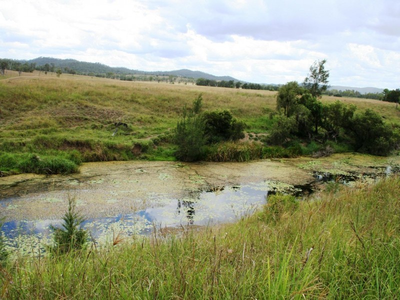Cinnabar QLD 4600