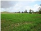 Cinnabar QLD 4600
