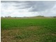 Cinnabar QLD 4600