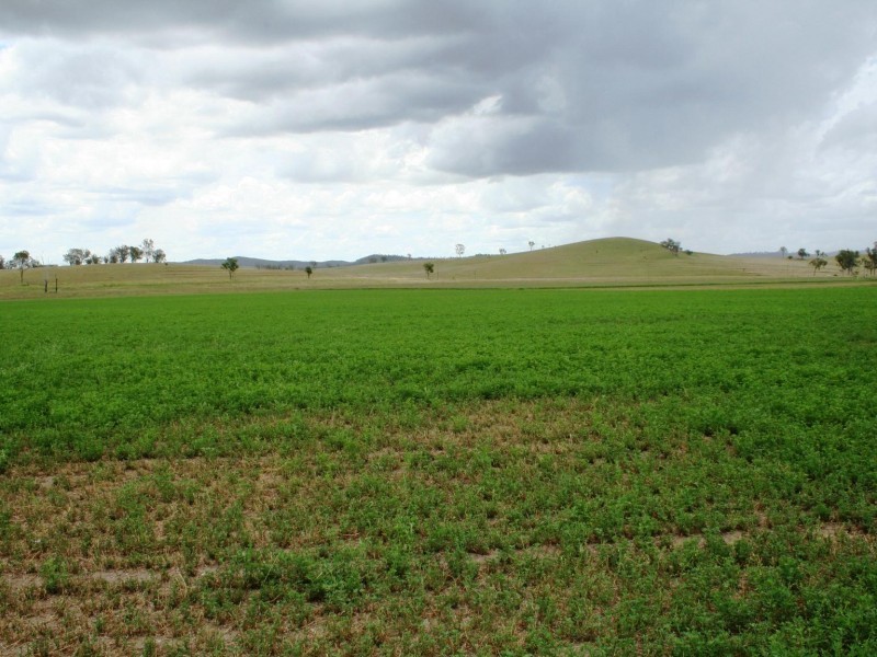 Cinnabar QLD 4600