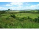 Tansey QLD 4601