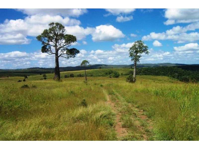 Tansey QLD 4601