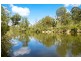 Tansey QLD 4601