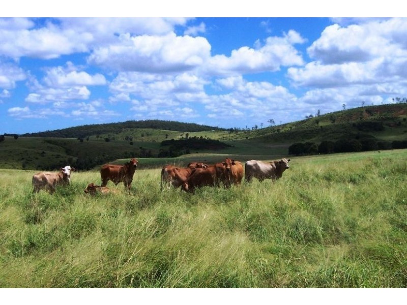 Tansey QLD 4601
