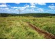 Tansey QLD 4601